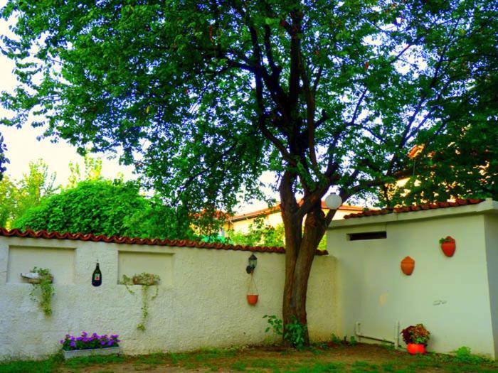Egemen Hotel Sapanca Exterior foto